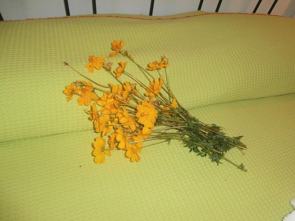 אפרטהוטל קרי Pansion Porto Tsi Ostrias חדר תמונה